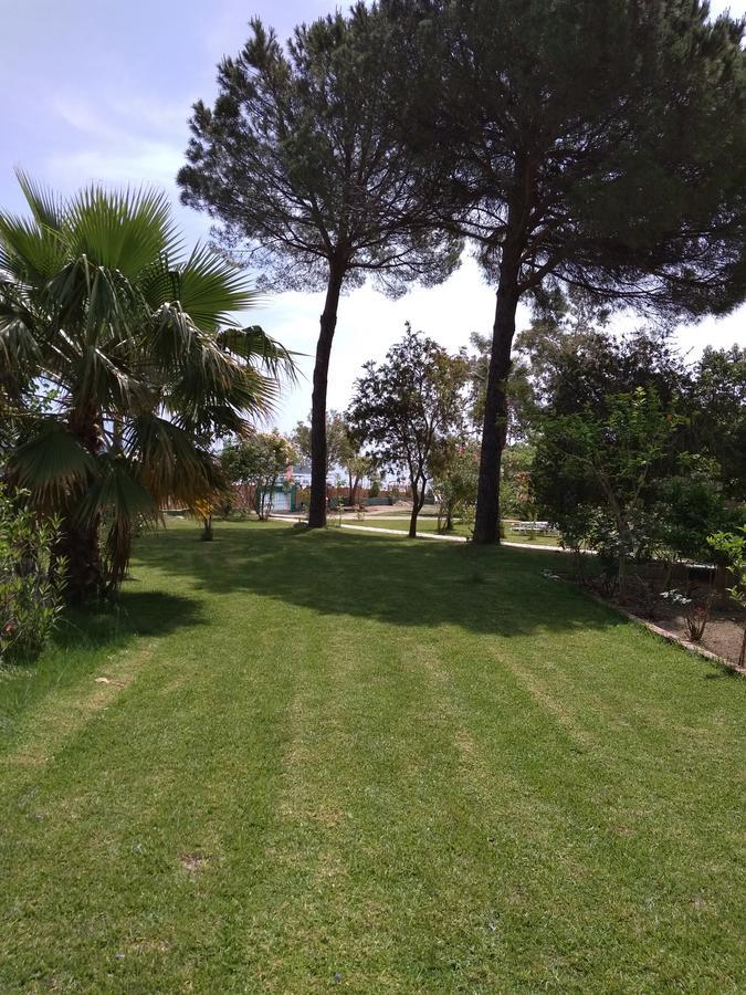 Palmyra Beachfront Studios 奈德里 外观 照片